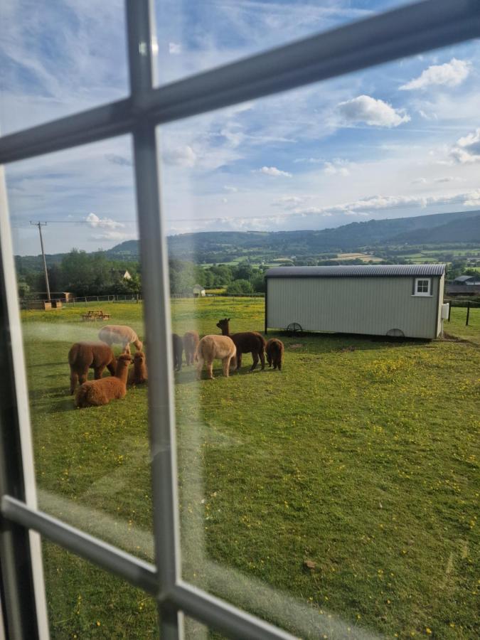 Cwtch Glamping Shepherds Huts Abergavenny Εξωτερικό φωτογραφία