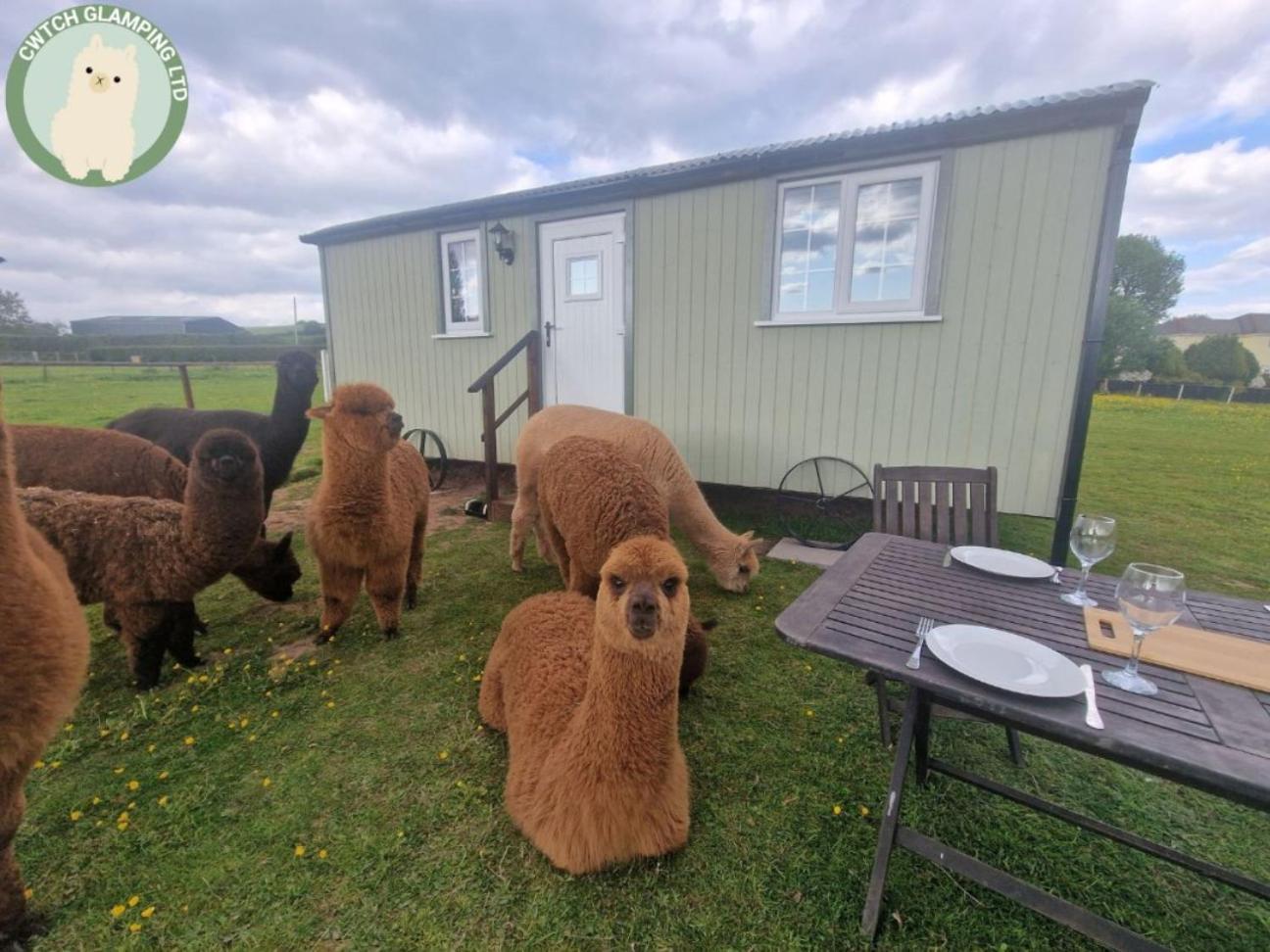 Cwtch Glamping Shepherds Huts Abergavenny Εξωτερικό φωτογραφία